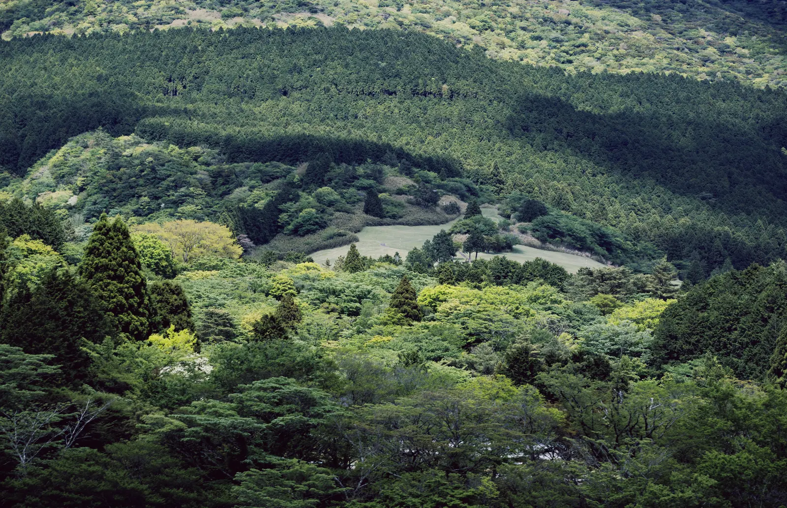 Nature photograph by Bo David