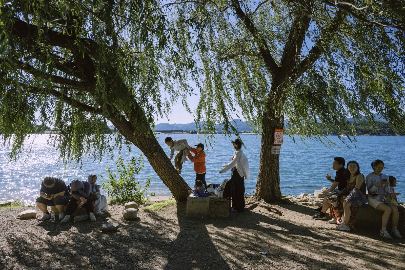 Scenes photograph by Bo David