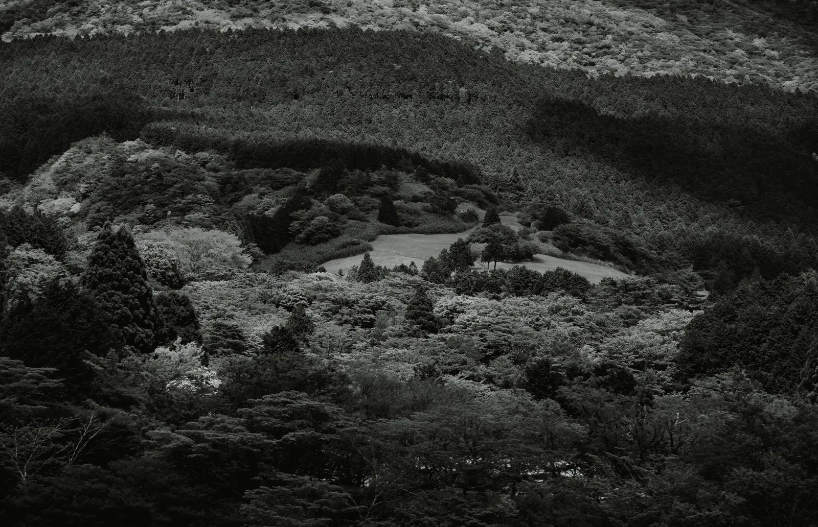 B&W photograph 3 by Bo David
