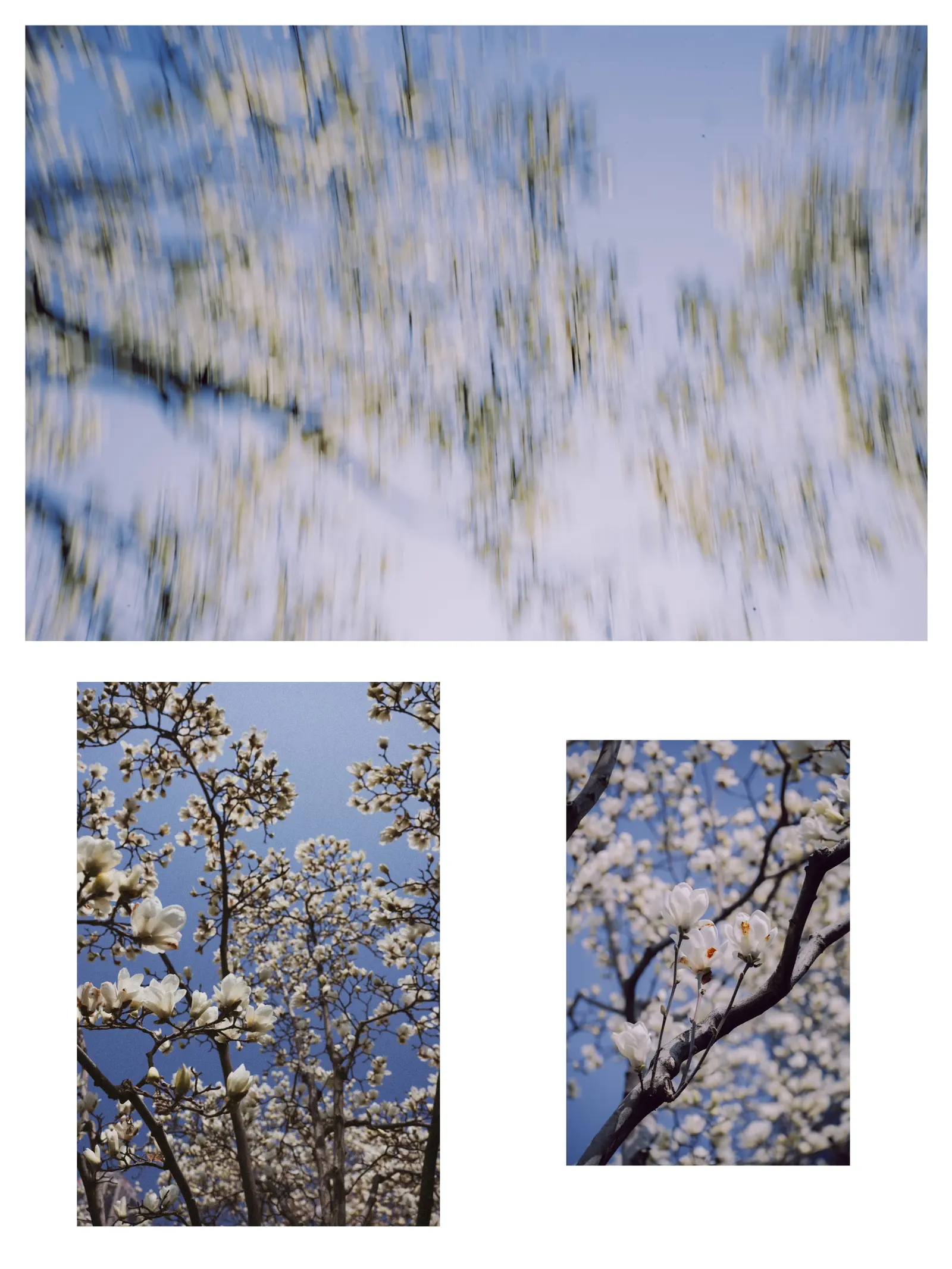 Diptychs & Triptychs photograph 7 by Bo David