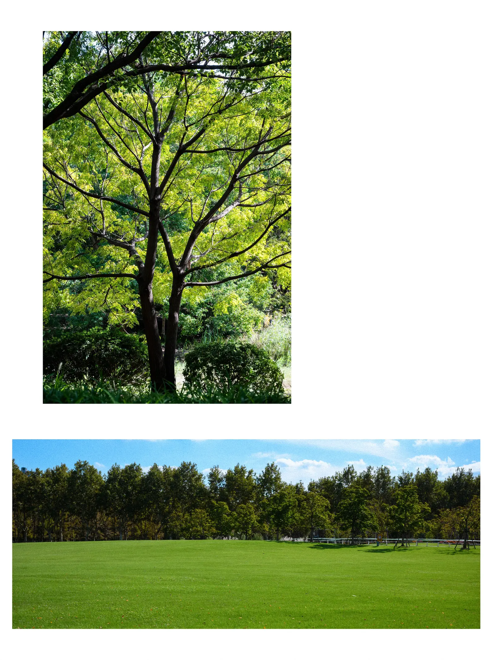 Diptychs & Triptychs photograph 17 by Bo David
