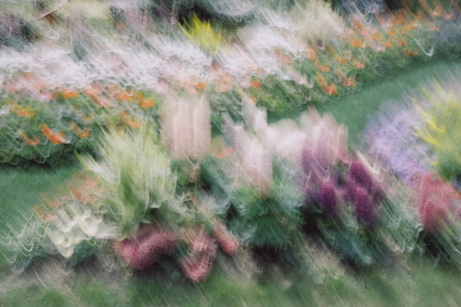Motion&Blur photograph 19 by Bo David