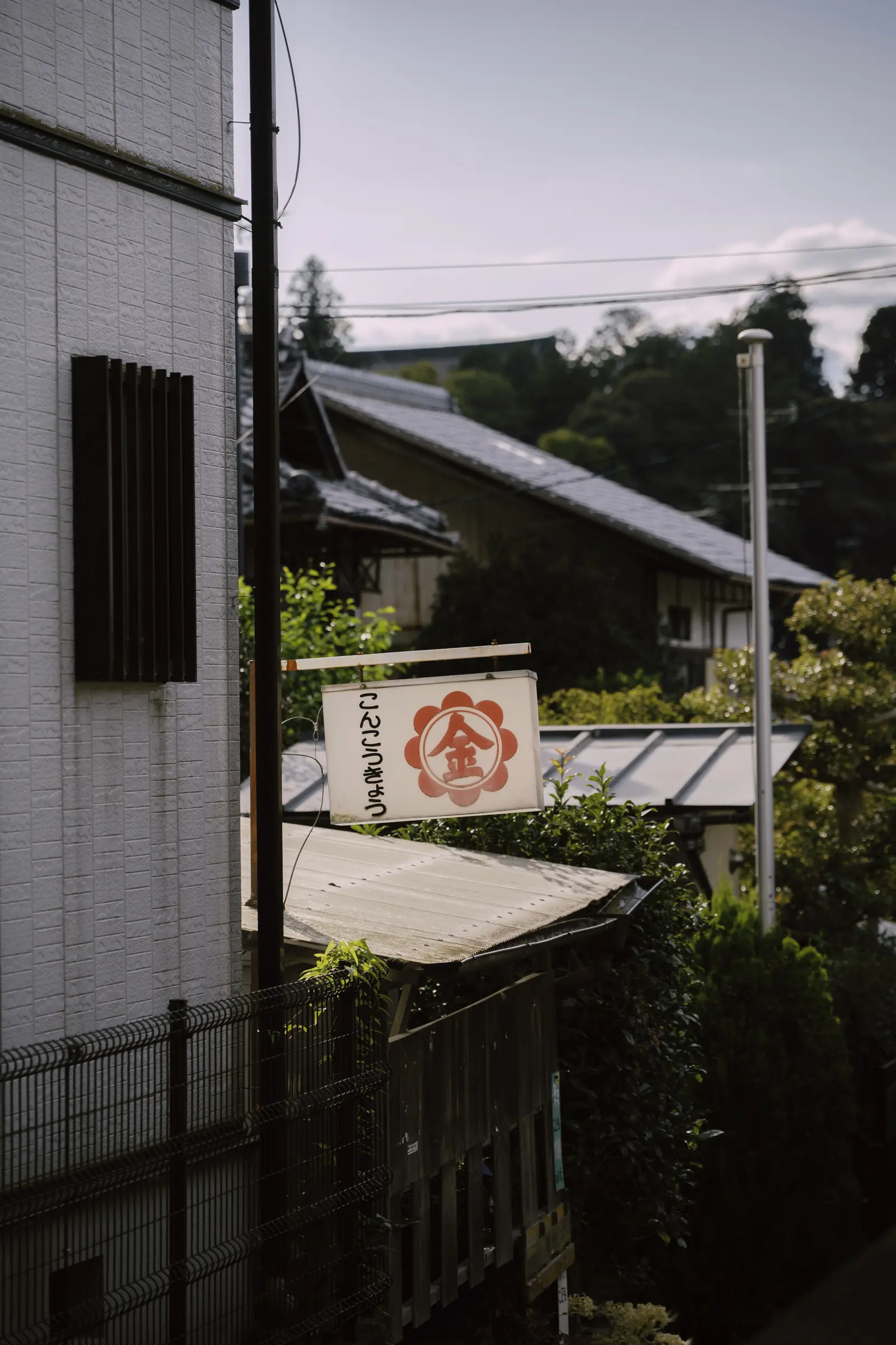 Tokyo photograph 6 by Bo David