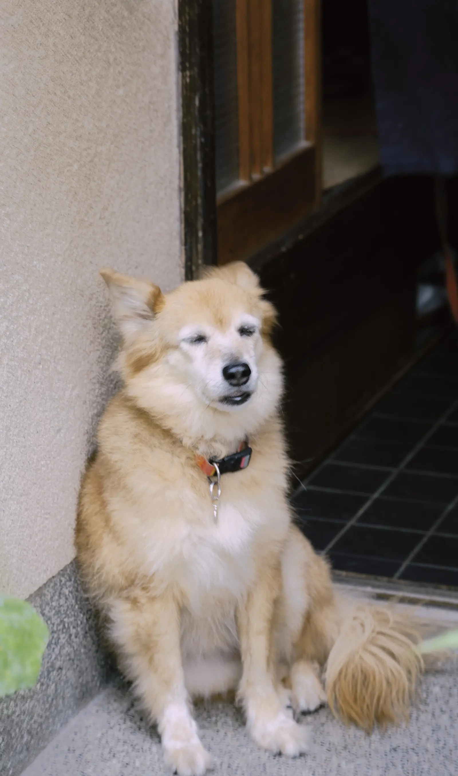 Street photograph: street 017