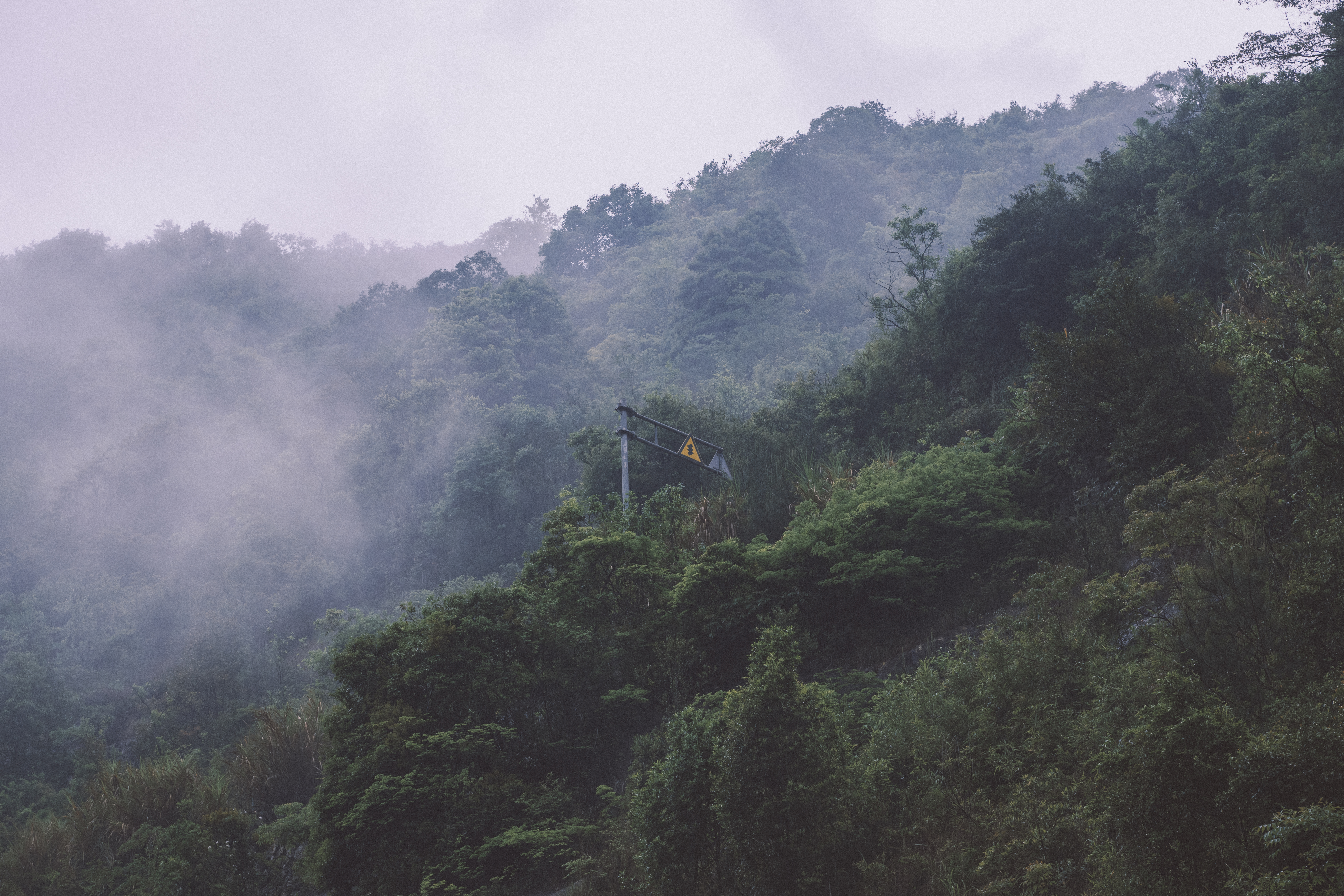 Nature photograph by Bo David