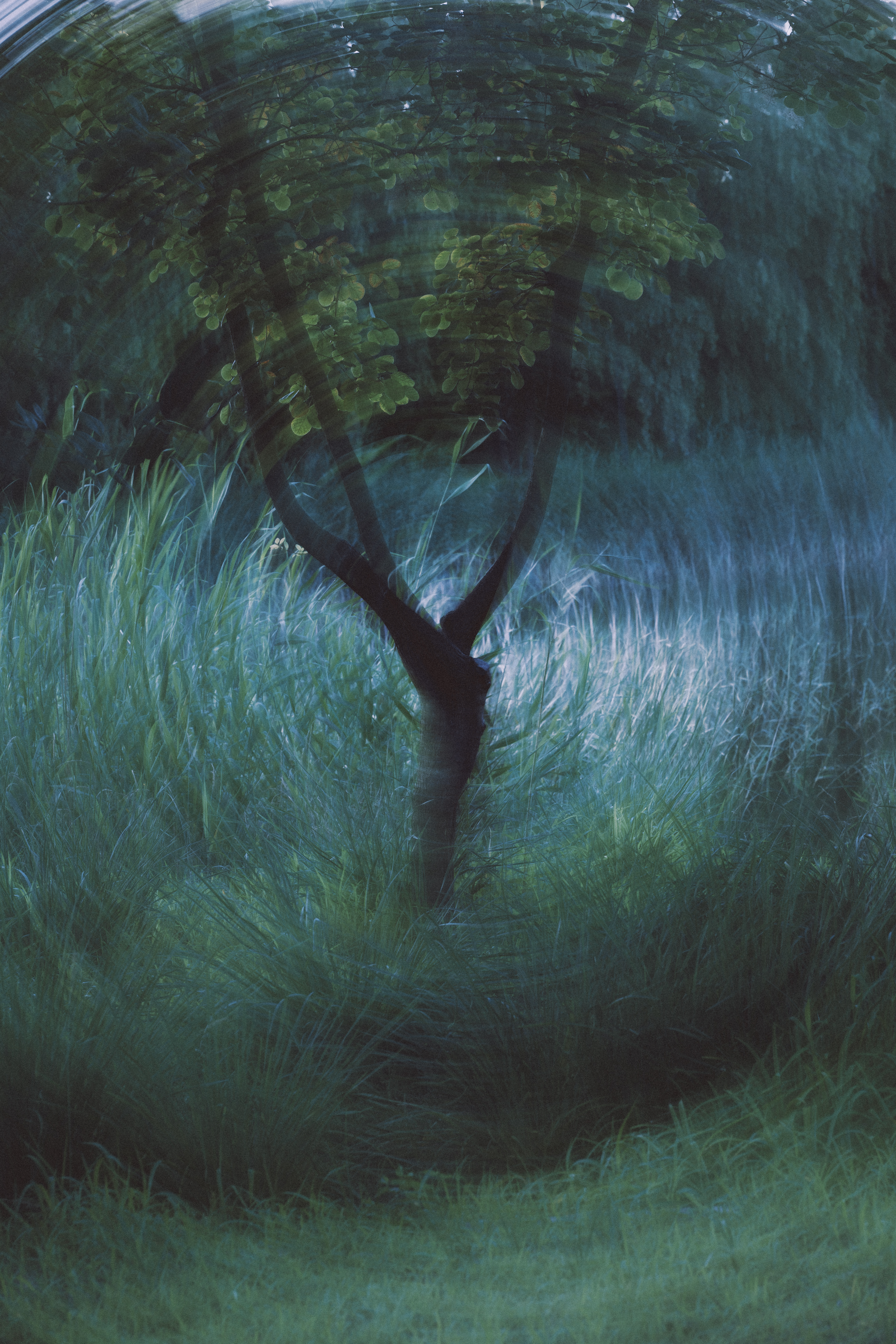 Nature photograph by Bo David