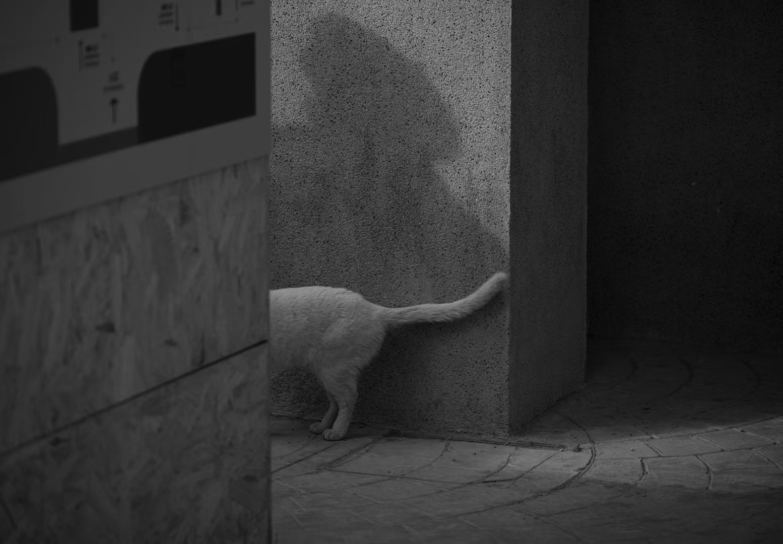 Scenes photograph by Bo David
