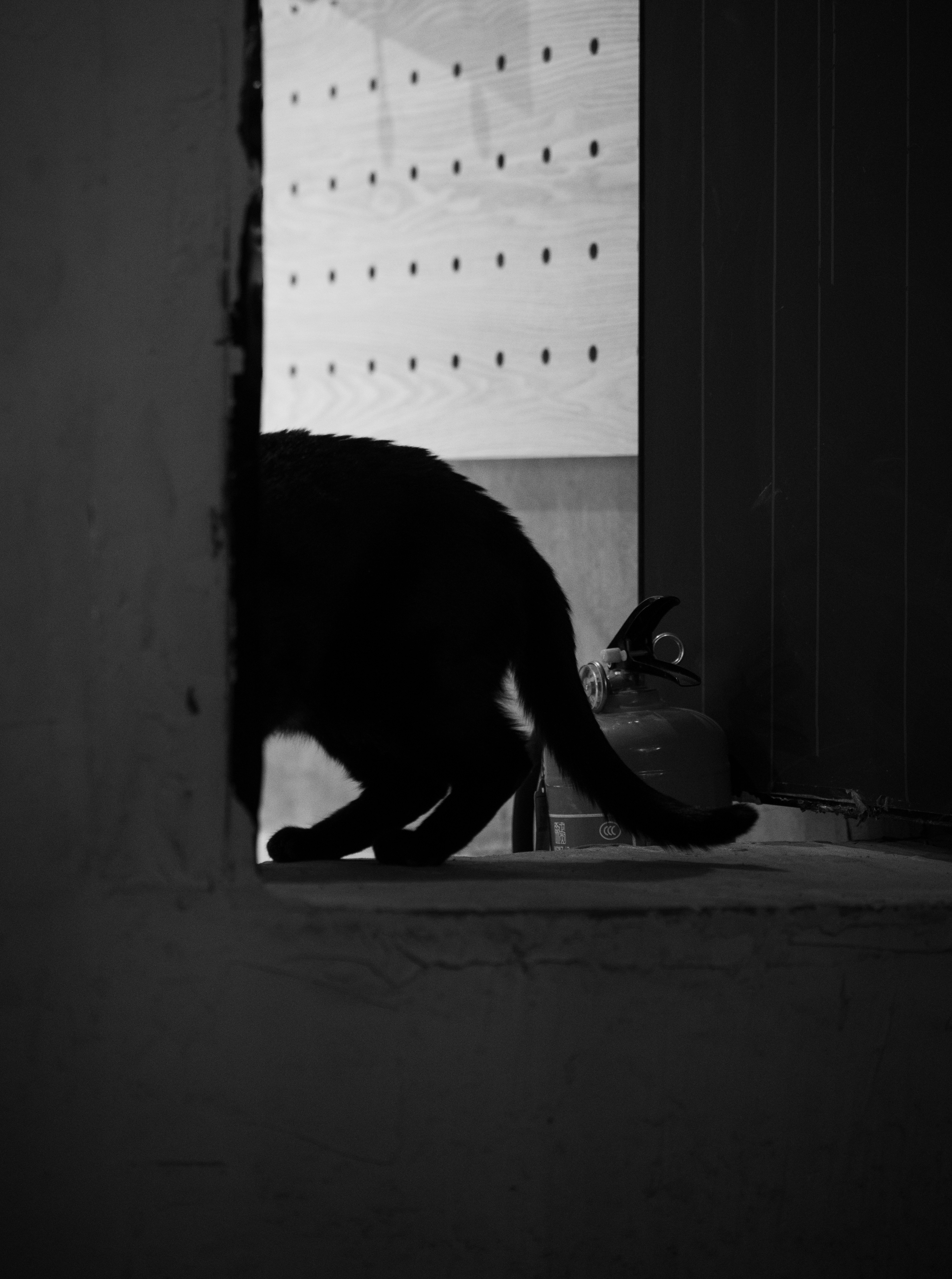 Scenes photograph by Bo David