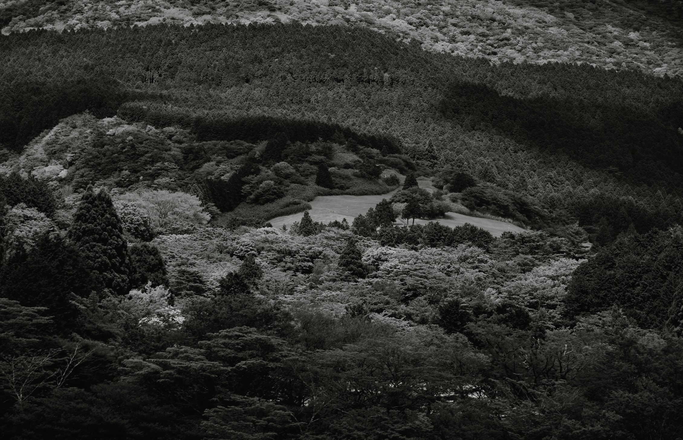 B&W photograph 3 by Bo David
