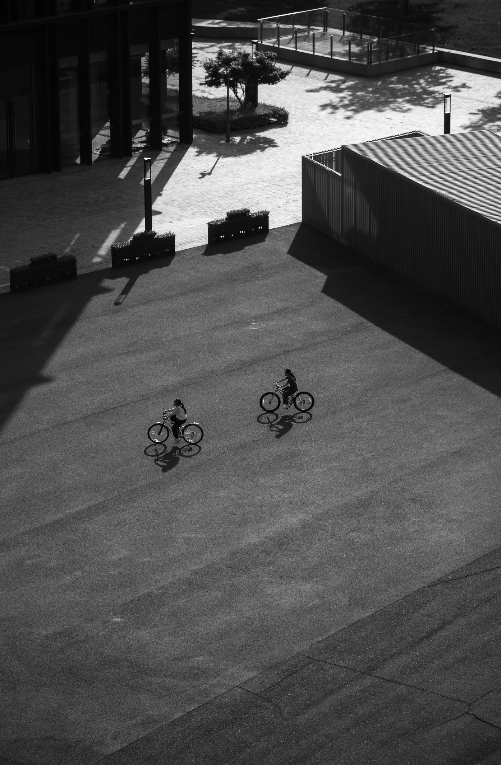B&W photograph 4 by Bo David
