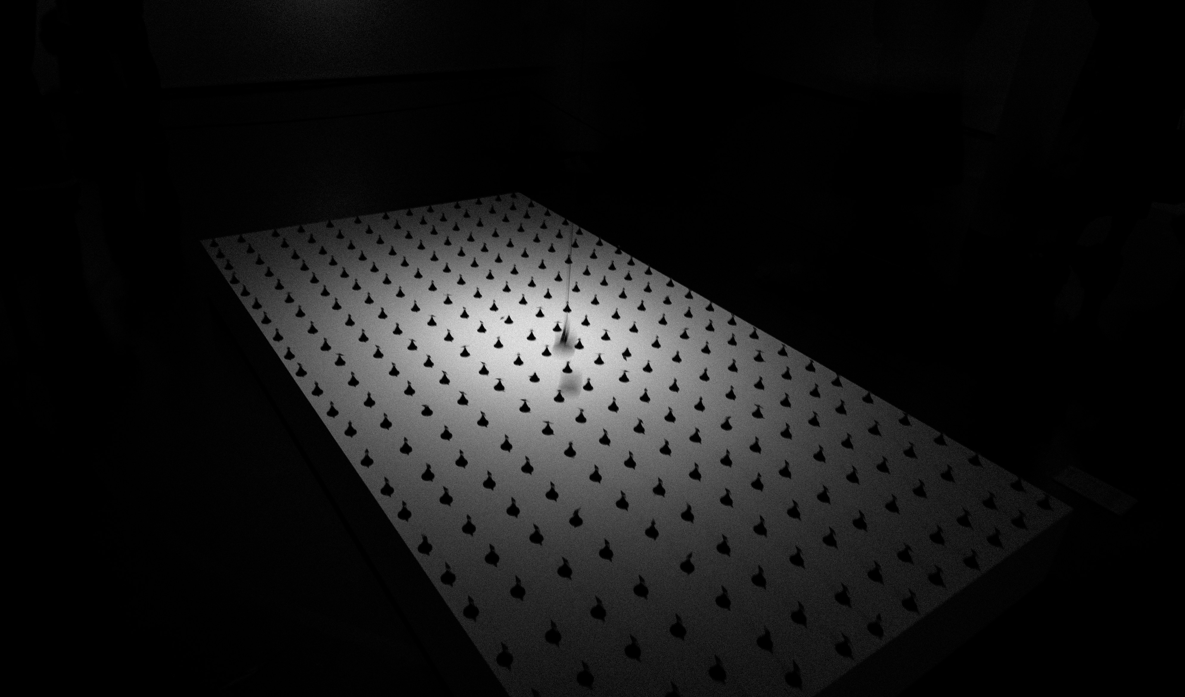 Cover of B&W