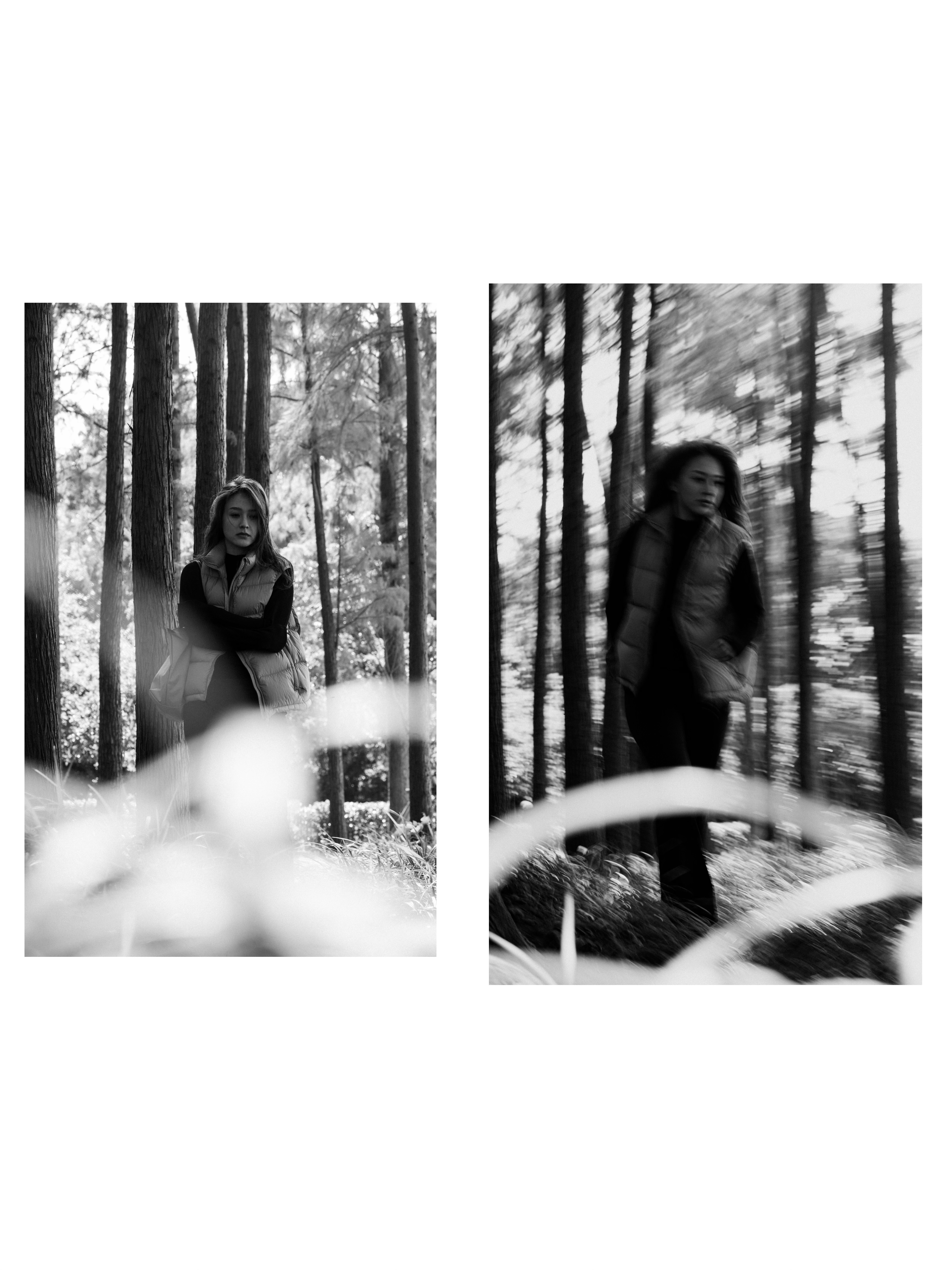 Diptychs & Triptychs photograph 5 by Bo David