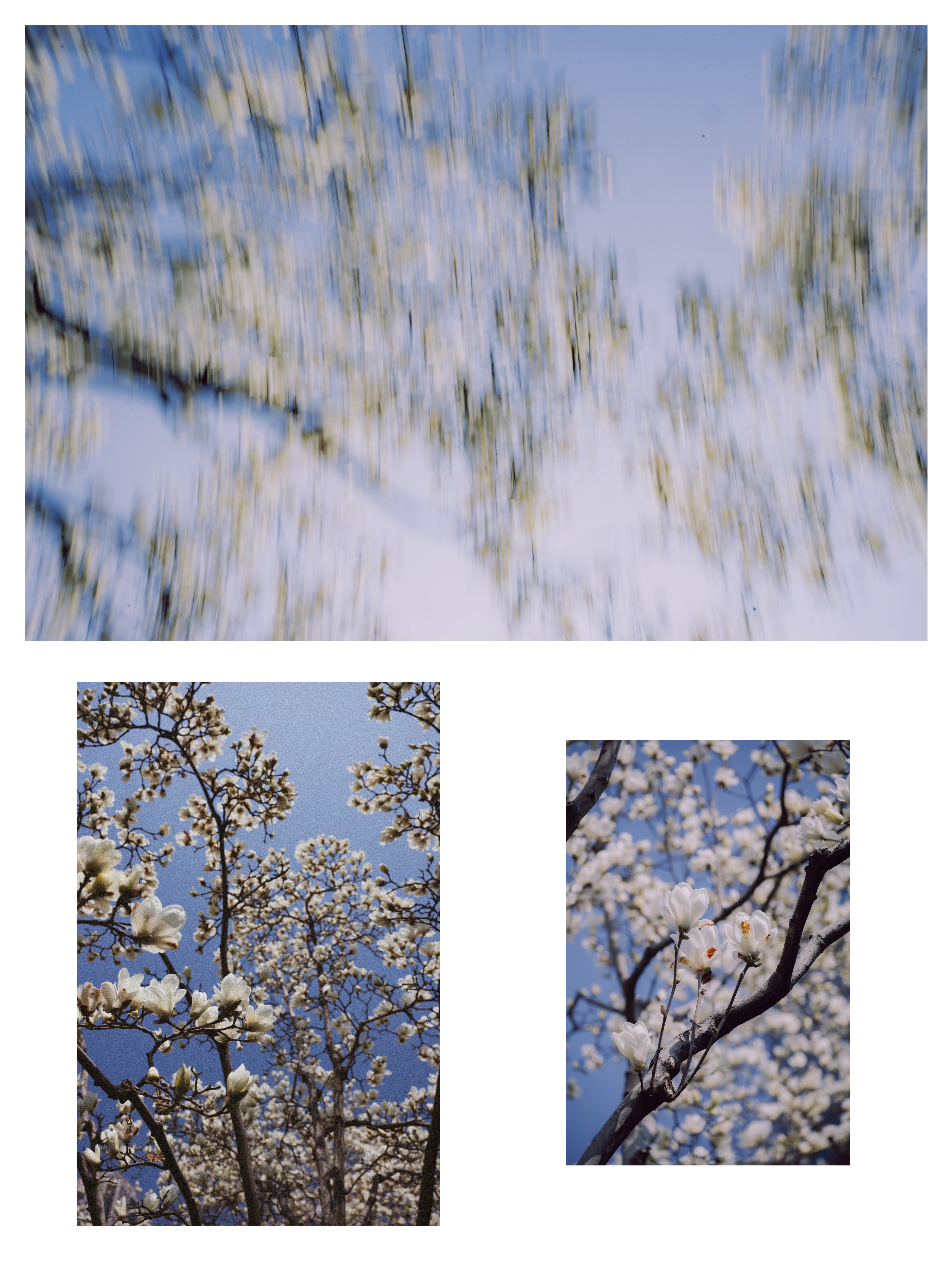 Diptychs & Triptychs photograph 7 by Bo David