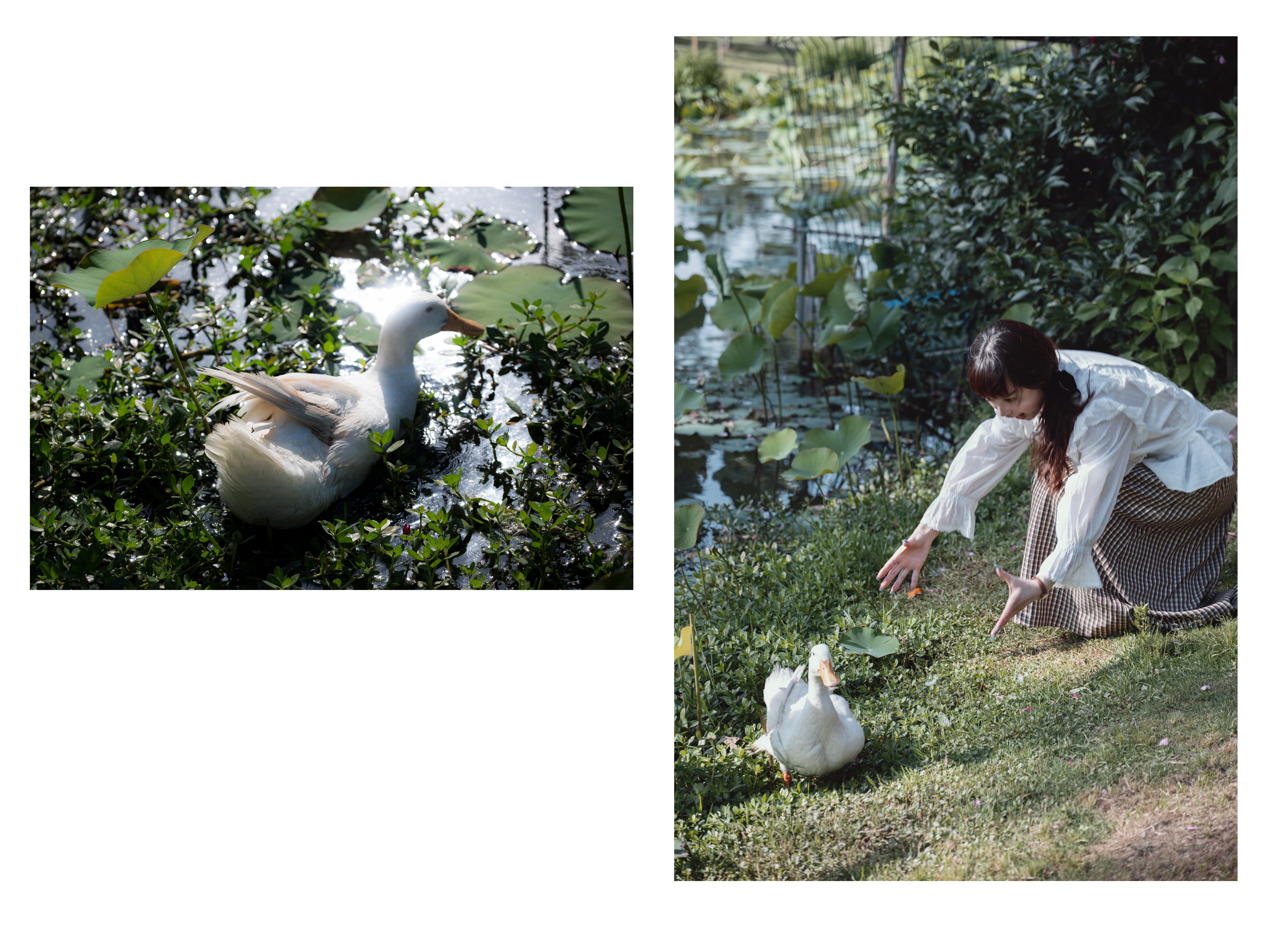 Diptychs & Triptychs photograph 14 by Bo David
