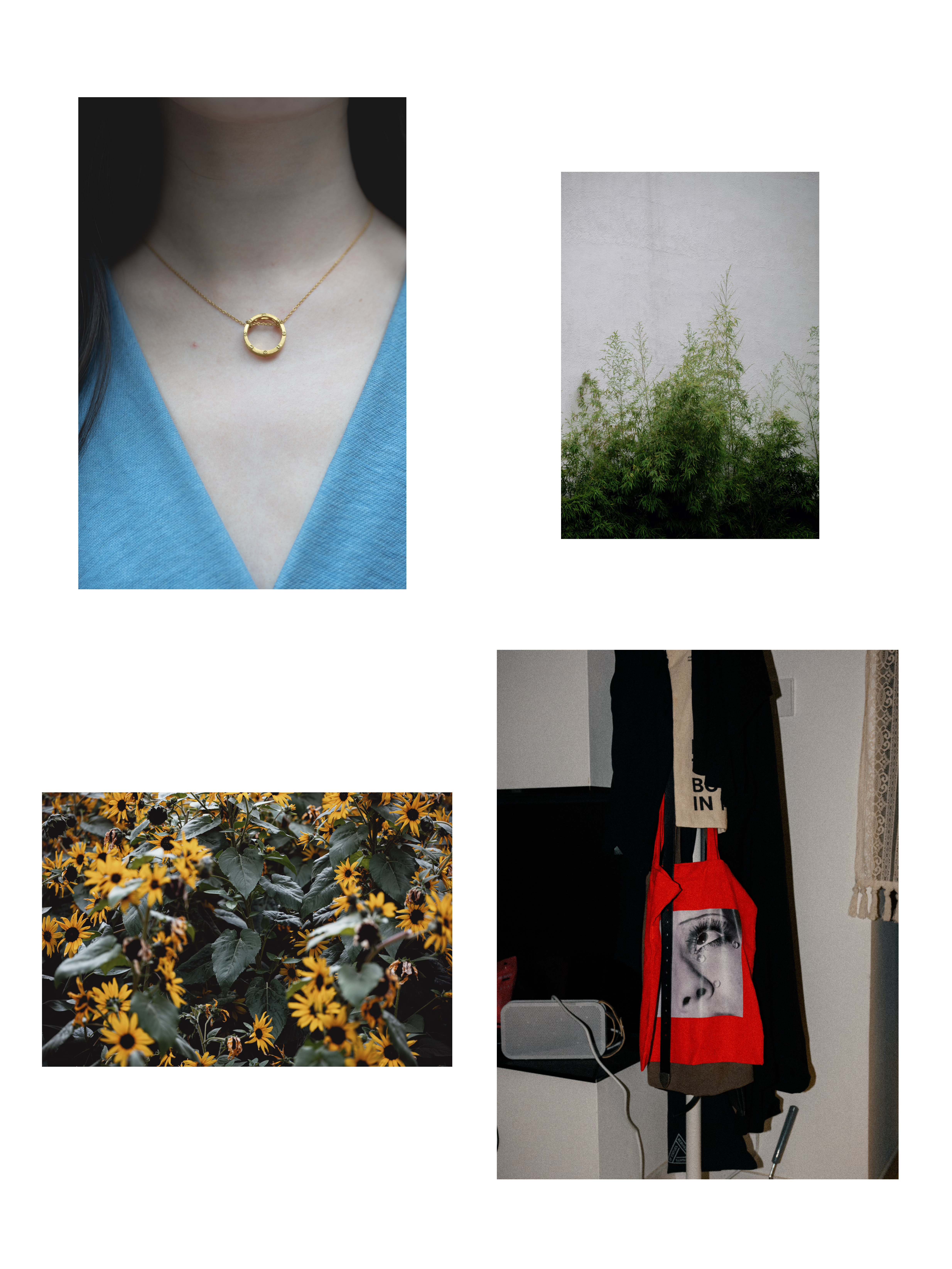 Diptychs & Triptychs photograph 16 by Bo David
