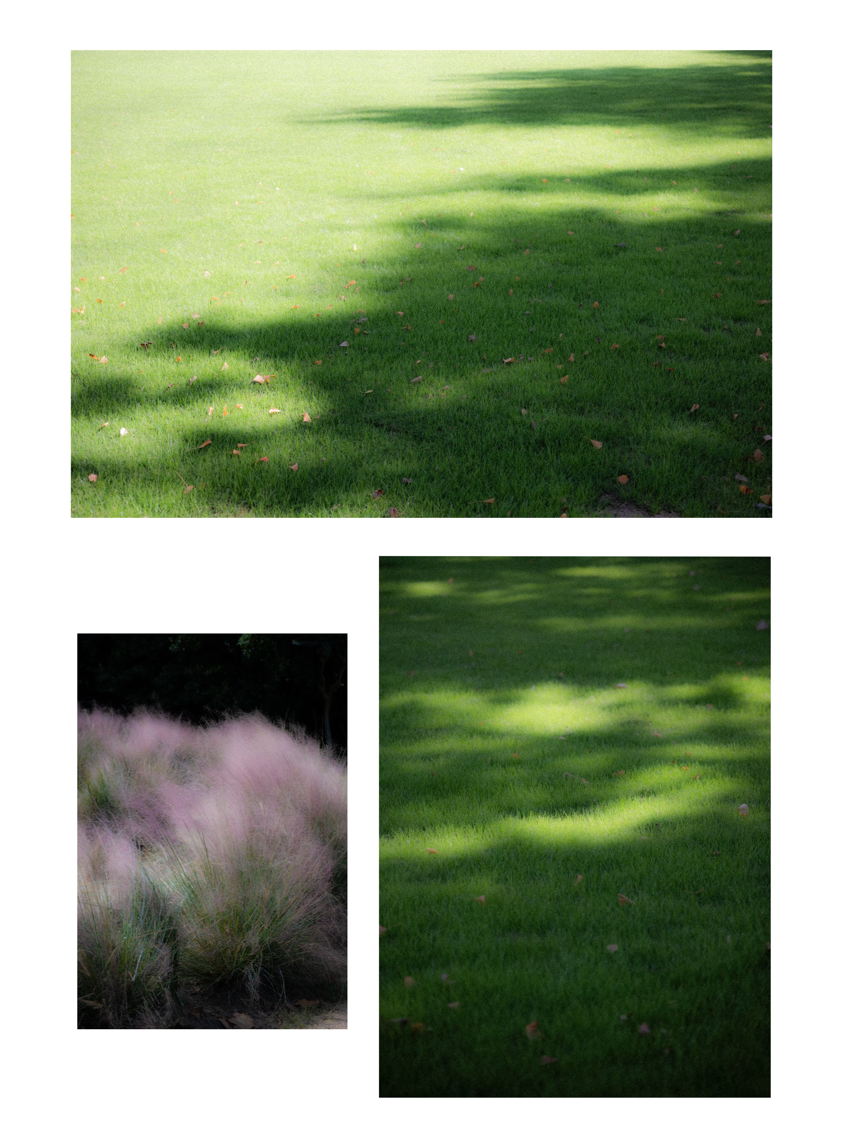 Diptychs & Triptychs photograph 14 by Bo David