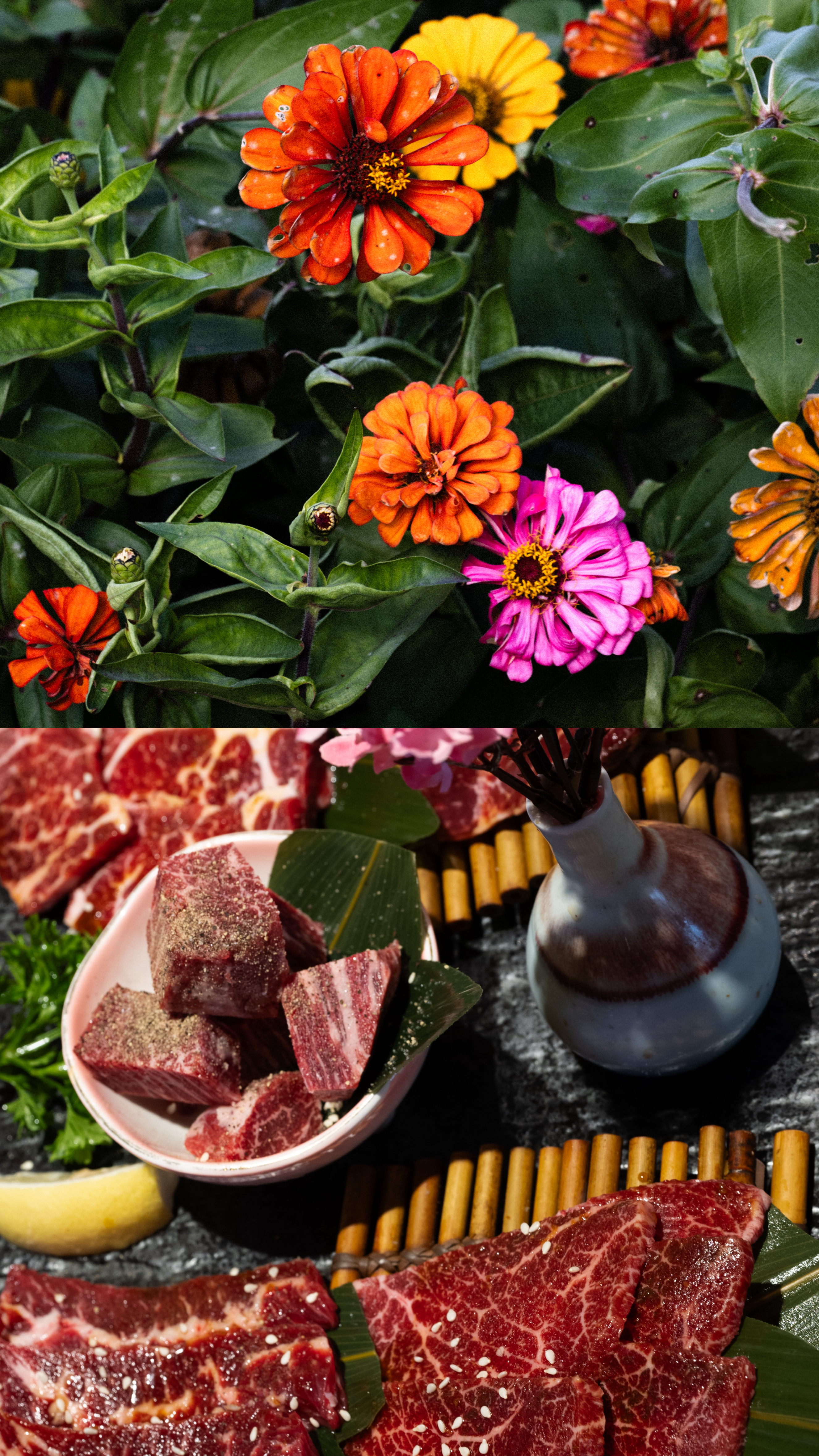 Diptychs & Triptychs photograph 15 by Bo David