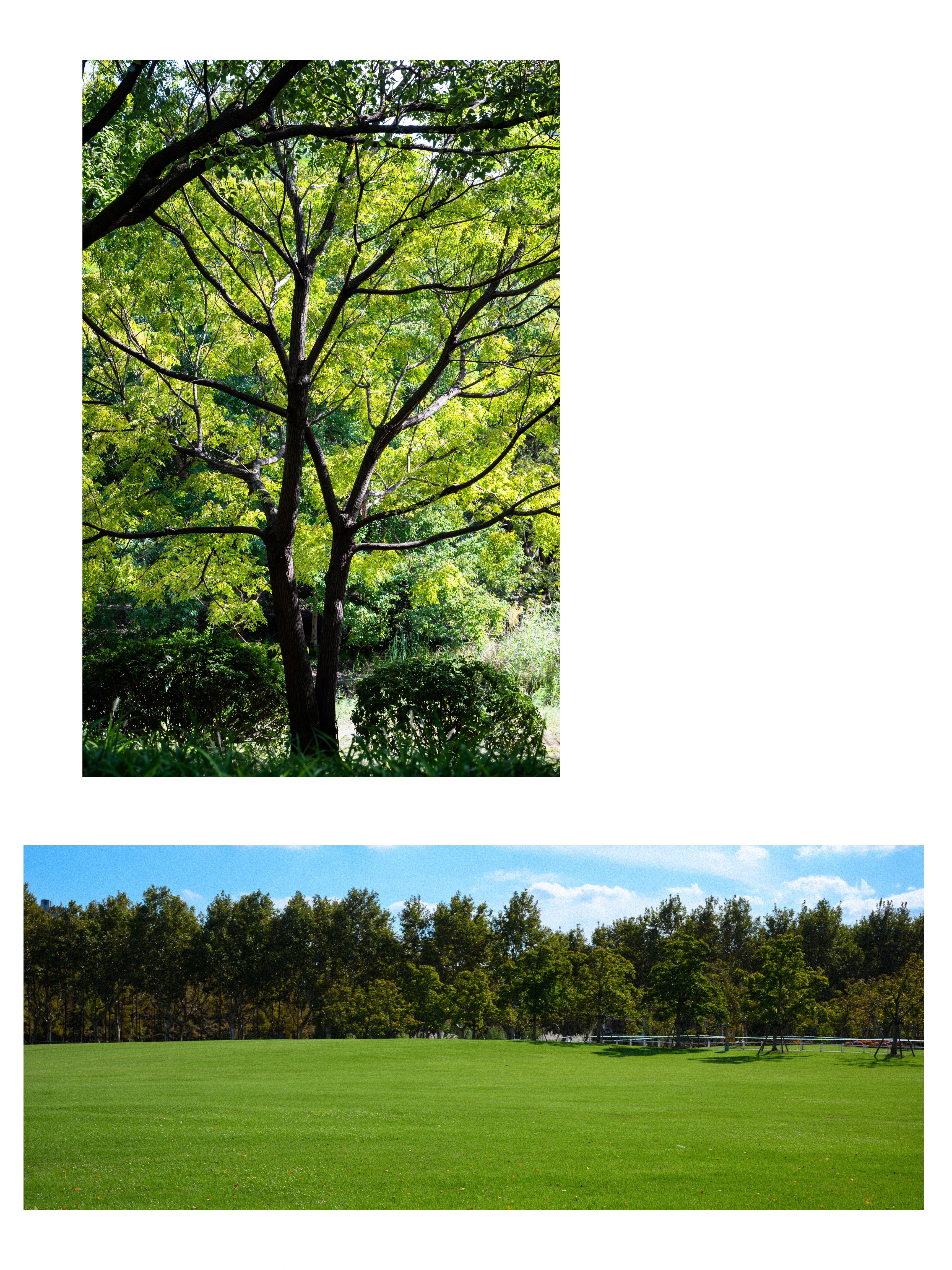 Diptychs & Triptychs photograph 17 by Bo David