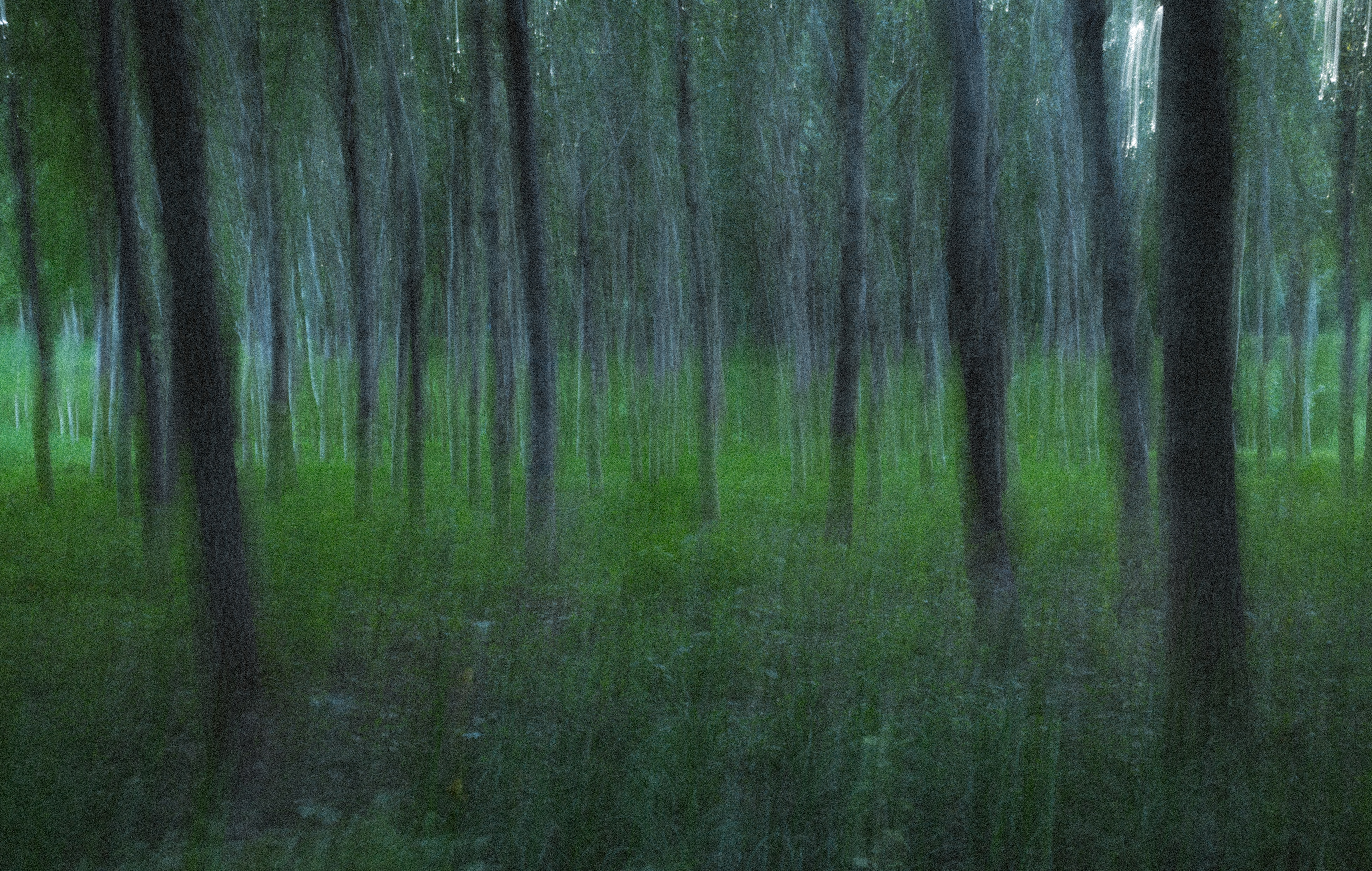 Motion&Blur photograph 3 by Bo David