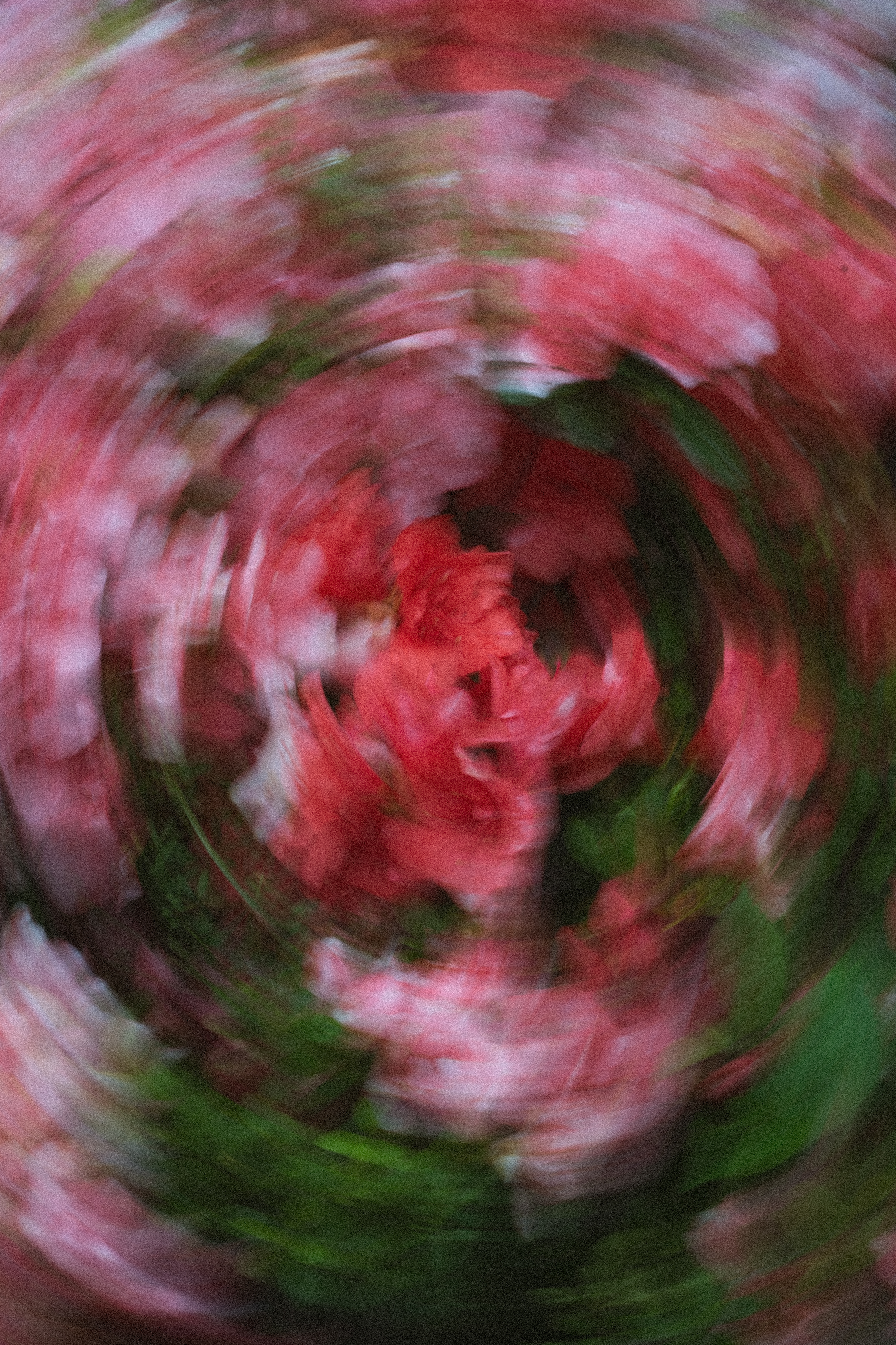 Motion&Blur photograph 18 by Bo David