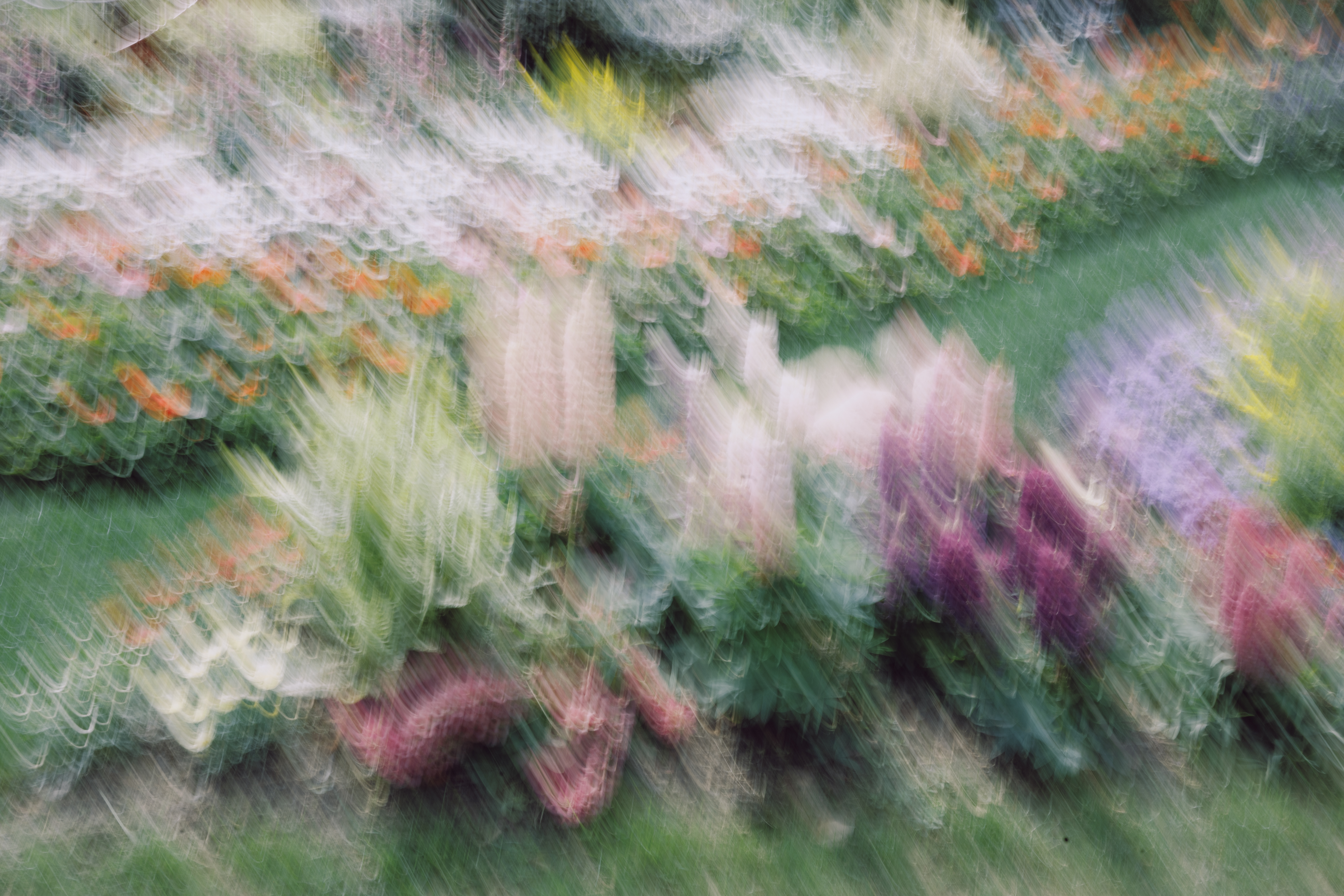 Motion&Blur photograph 19 by Bo David
