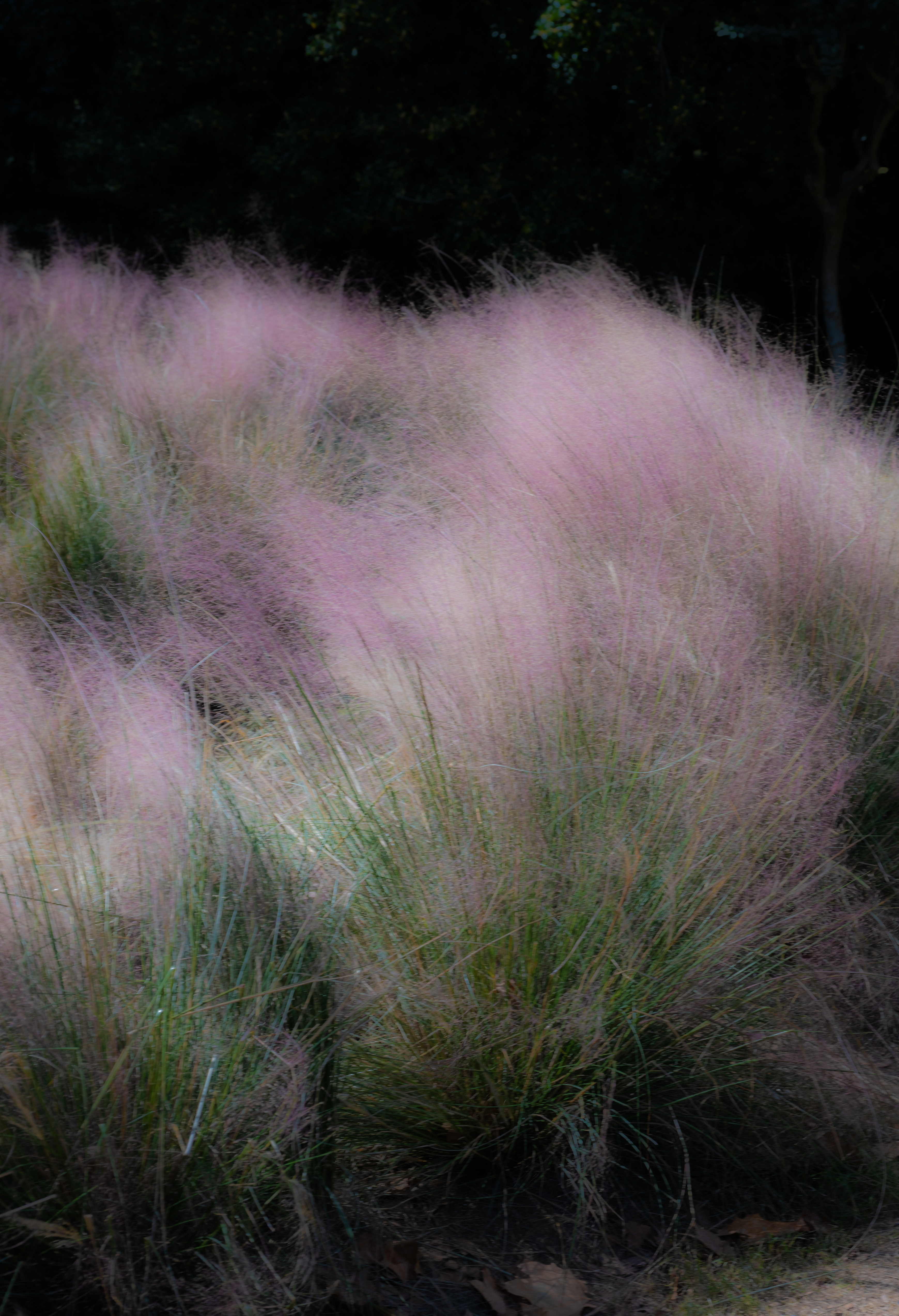 Motion&Blur photograph 20 by Bo David