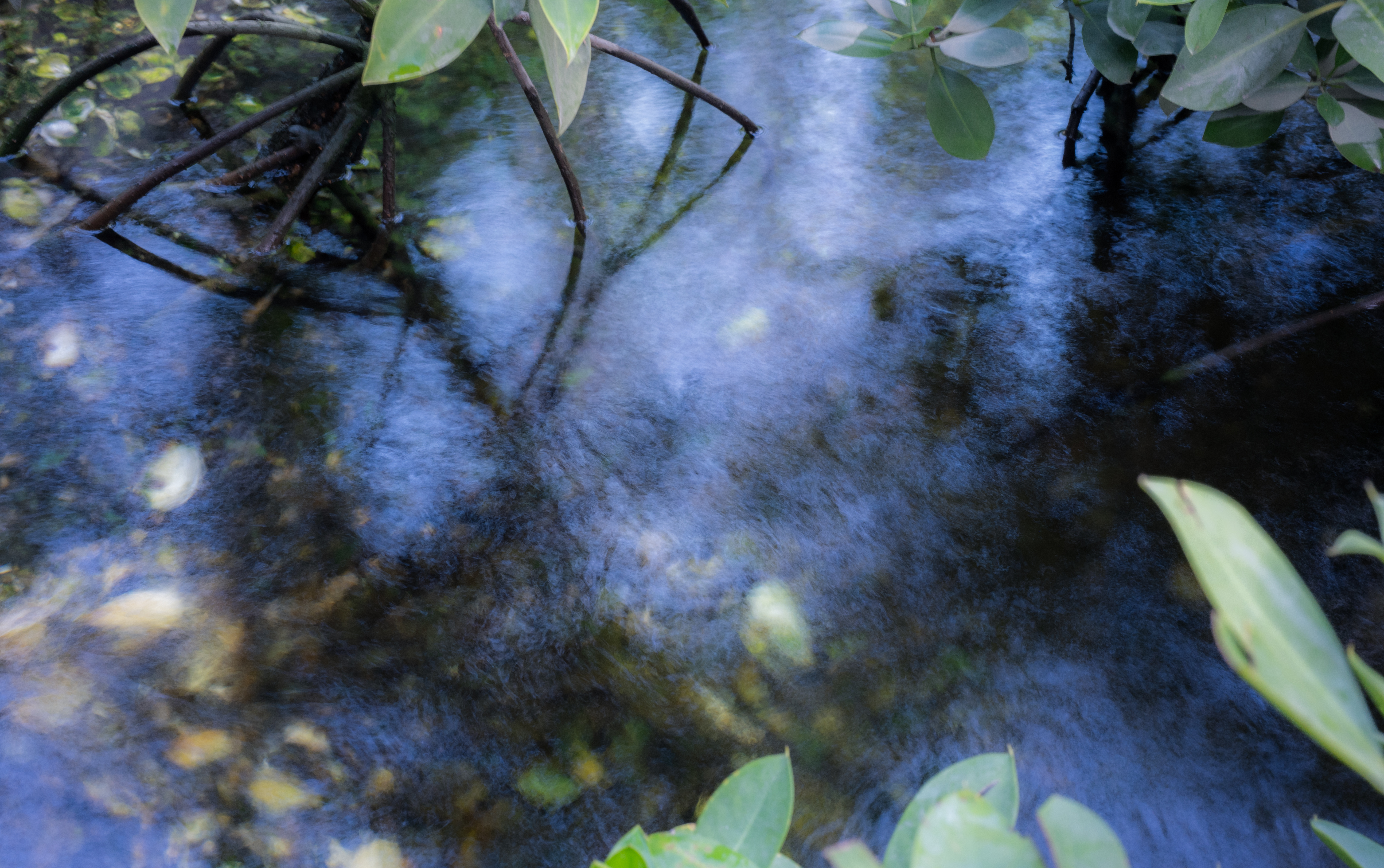 Motion&Blur photograph 24 by Bo David