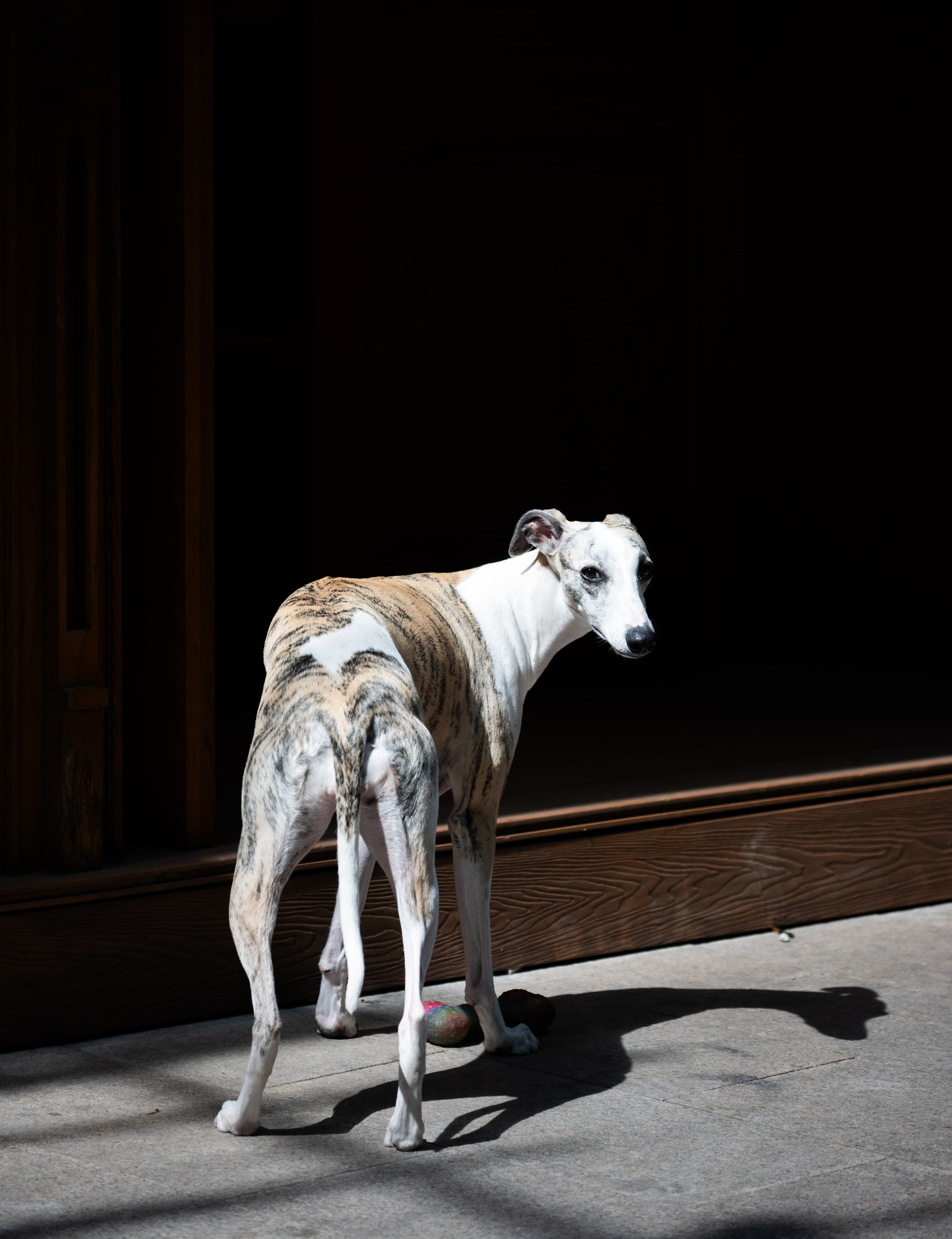 Single&loneliness photograph 13 by Bo David