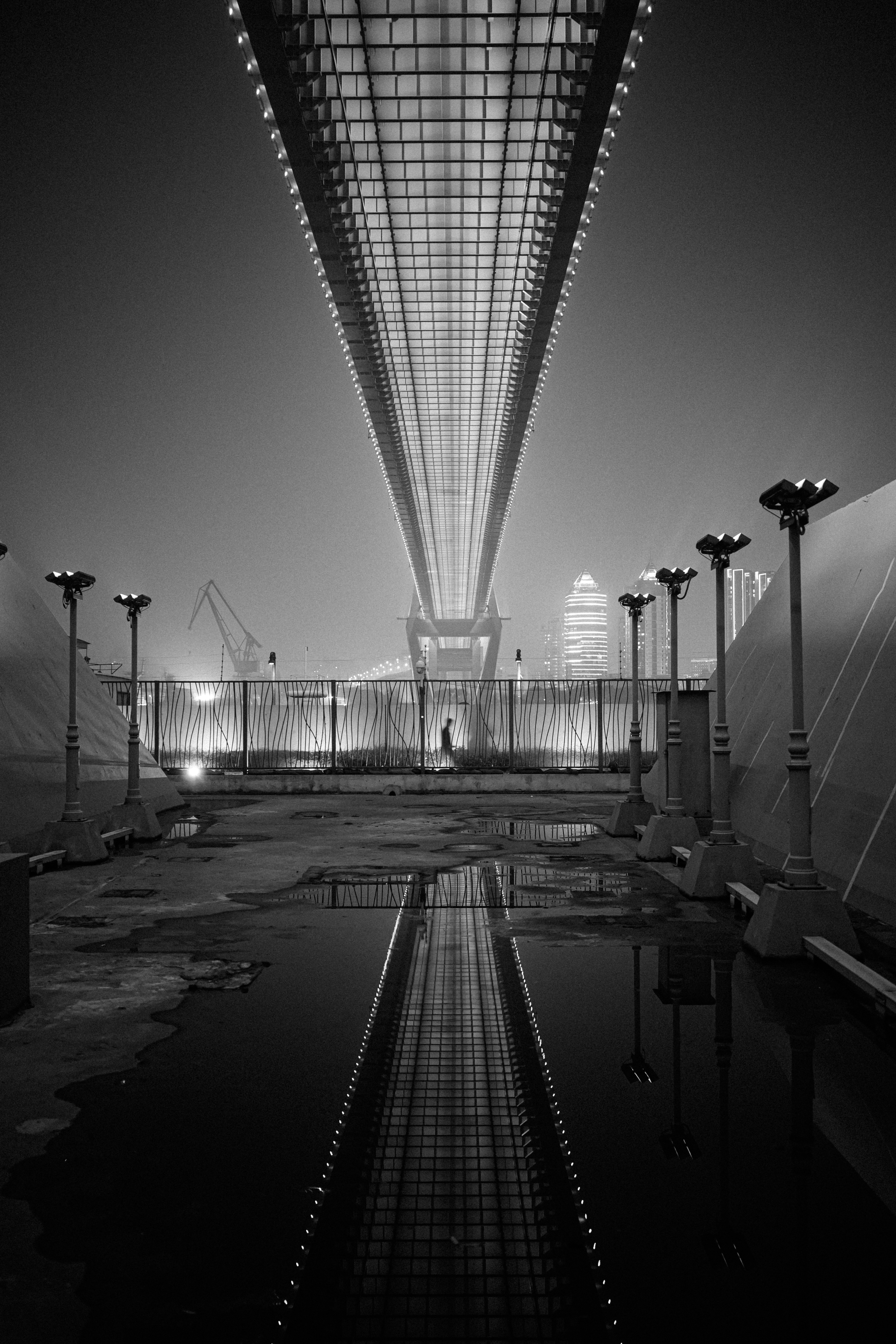 Single&loneliness photograph 14 by Bo David
